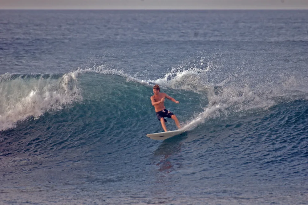 Escuela de Surf Marea Viva