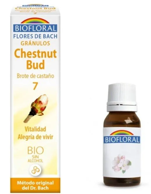 Biofloral Chestnut Bud - Brote de Castaño 7 (Vitalidad y Alegría de Vivir) Flores de Bach Bio Gránulos Sin Alcohol 9 g