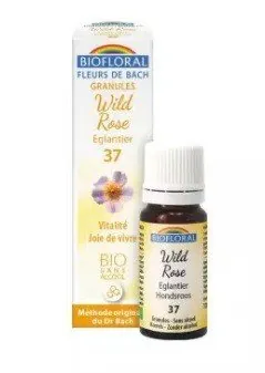 Biofloral Wild Rose - Escaramujo 37 (Vitalidad y Alegría de Vivir) Flores de Bach Bio Gránulos Sin Alcohol 9 g