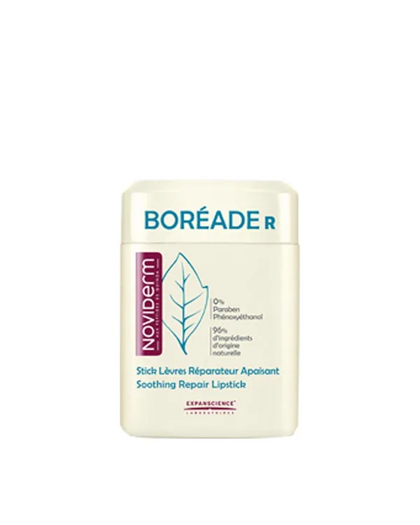 NOVIDERM Boréade R Stick Reparador 9.2G