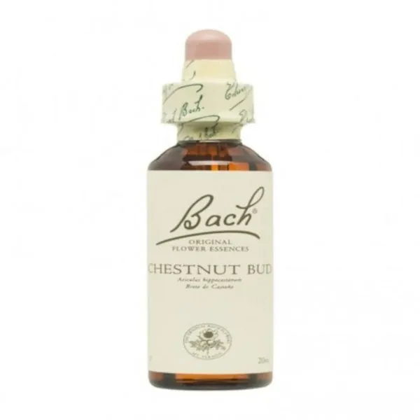 Bach Original Flores de Bach 07 Brote de Castaño 20 ml