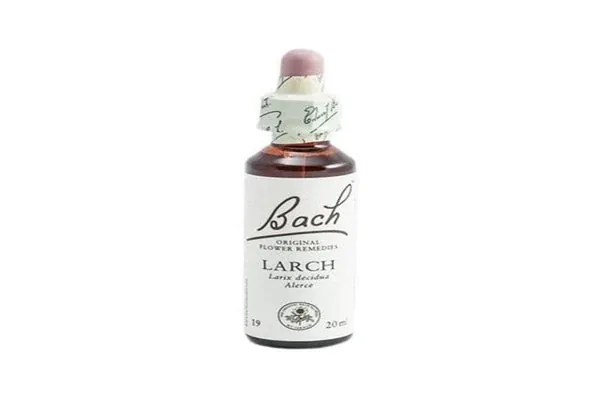 Bach 19 Larch 20 ml