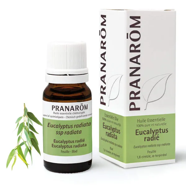 Pranarom Eucalipto Radiata Hoja 10 ml
