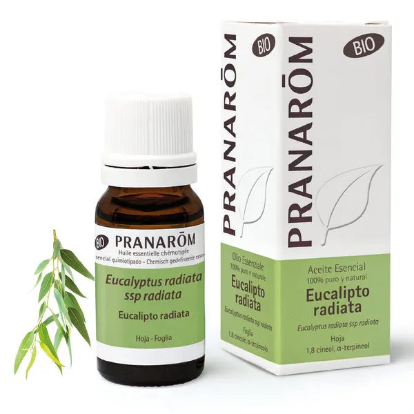 Pranarom Eucalipto Radiata Hoja Bio 10ml