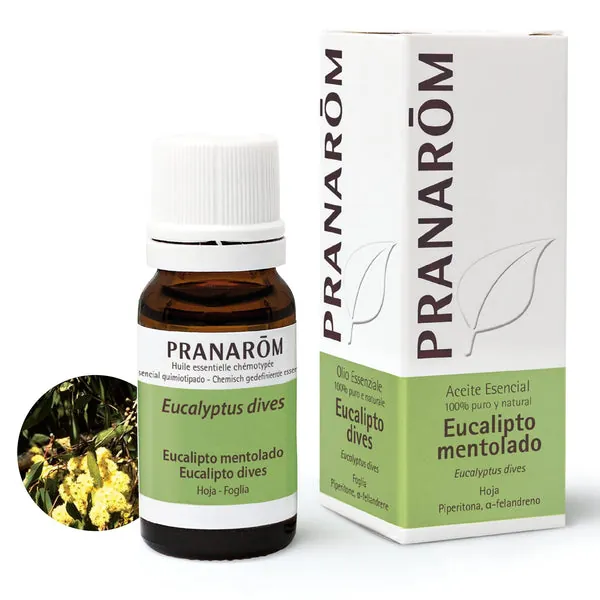 Pranarom Eucalipto Mentolado Hoja 10 ml