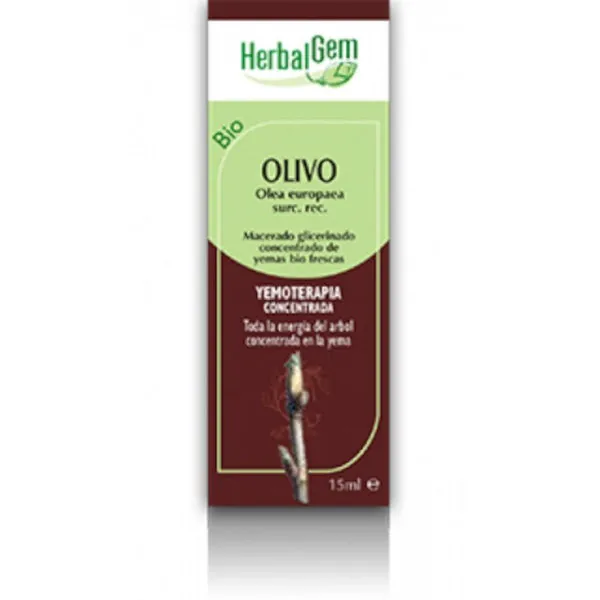 Herbalgem Olivo Macerado Glicerinado 50 ml