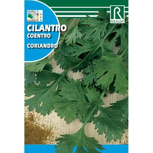 semillas de cilantro coriandro