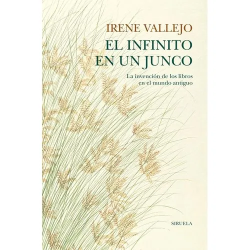 el infinito en un junco